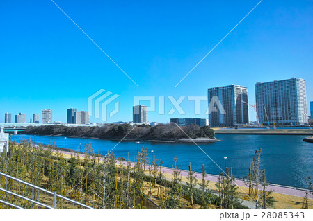 豊洲水産卸売場と運河 28085343