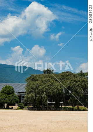 古い校舎 (78) 28085522