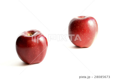 リンゴ（おいらせ） 28085673