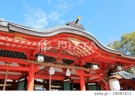 生田神社 生田神社 28085811