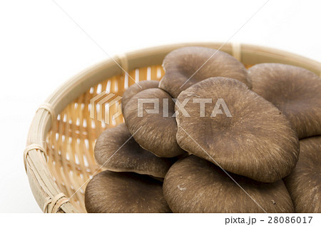 ひらたけ 28086017