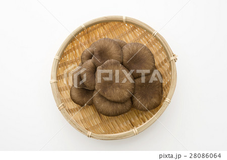 ひらたけ 28086064