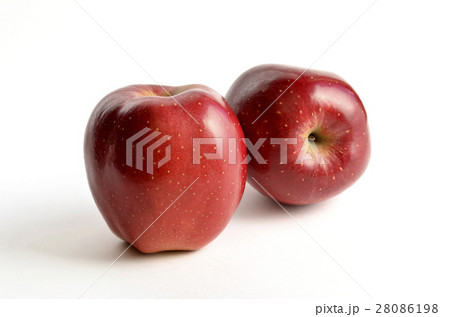 リンゴ(おいらせ) リンゴ(おいらせ) 28086198