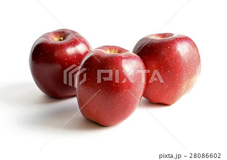 リンゴ（おいらせ） 28086602