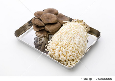 エノキとひらたけ 28086660