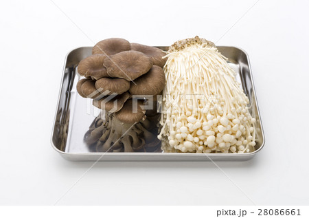 エノキとひらたけ 28086661