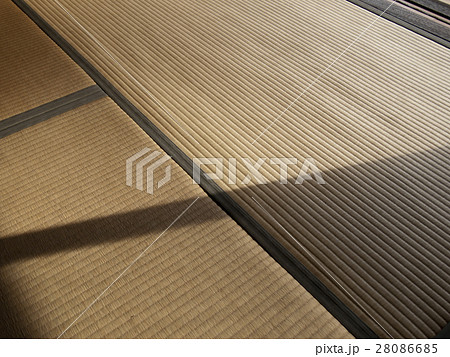 和室　畳 28086685