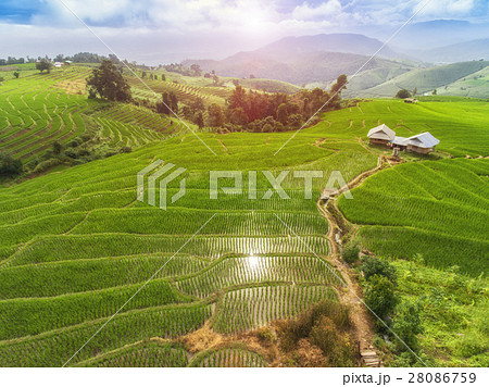 Terrace Rice Field 28086759