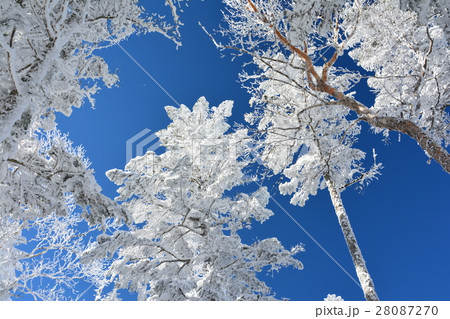 八ヶ岳ブルー 28087270