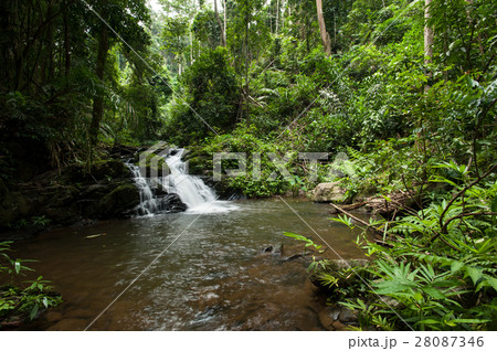 Beautiful waterfall  28087346