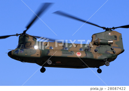 CH-47　チヌーク　習志野 28087422