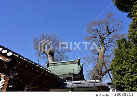 下桂・御霊神社 下桂・御霊神社 28088213
