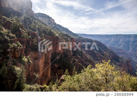 Grand Canyon National Park USA North rim 3 28088994