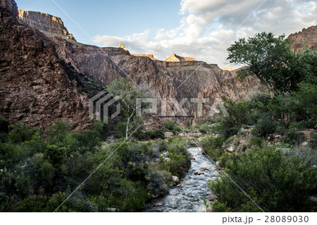 Grand Canyon National Park USA 17 Grand Canyon National Park USA 17 28089030