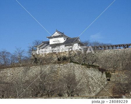鶴山公園(津山城趾):冬 落葉の鶴山公園(備中櫓) 鶴山公園(津山城趾):冬 落葉の鶴山公園(備中櫓) 28089229