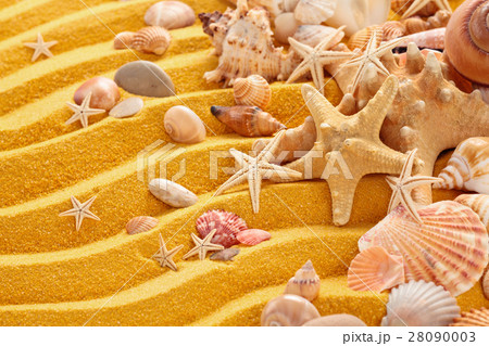 Yellow sand and seashells background. Yellow sand and seashells background. 28090003
