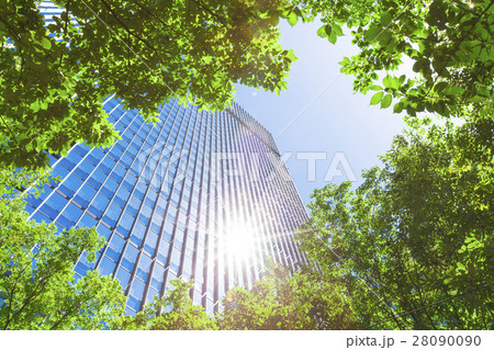 オフィス街の高層ビルと緑 28090090
