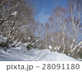 雪の登山道 28091180