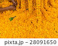 Marigold flower decoration 28091650