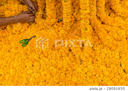 Marigold flower decoration 28091650