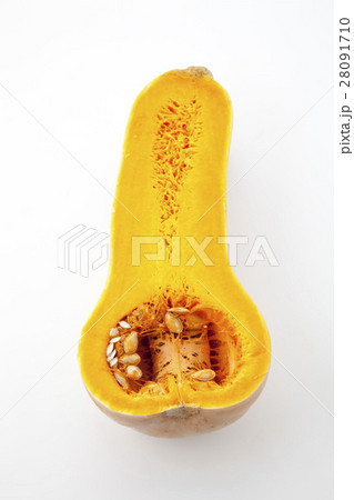 バターナッツ断面 28091710