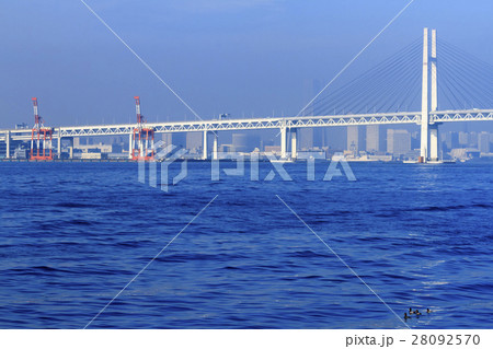 快晴のベイブリッジ（秋） 28092570