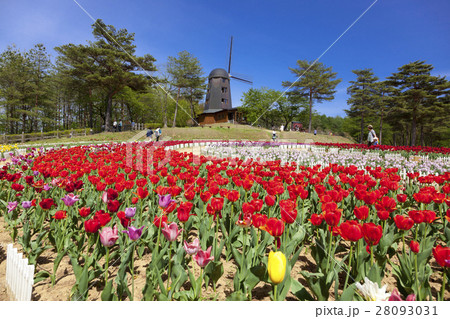 雪谷川ダムフォリストパーク・軽米（岩手県軽米町） 28093031