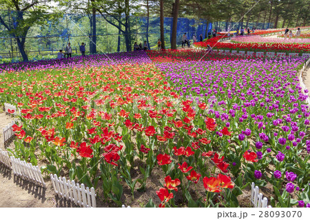雪谷川ダムフォリストパーク・軽米（岩手県軽米町） 28093070