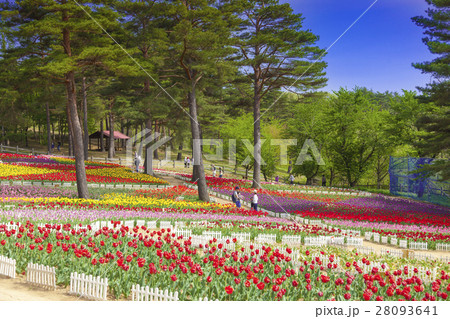 谷川ダムフォリストパーク・軽米(岩手県軽米町) 谷川ダムフォリストパーク・軽米(岩手県軽米町) 28093641