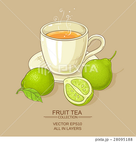 cup of bergamot tea cup of bergamot tea 28095188