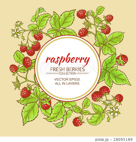 raspberry vector frame 28095189