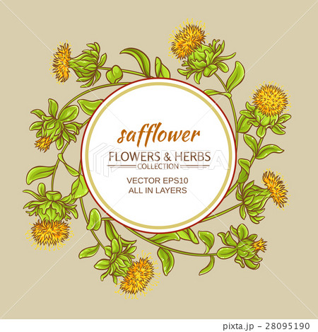 safflower vector frame safflower vector frame 28095190