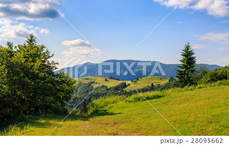 grassy meadow on hillside 28095662