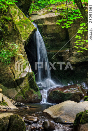 waterfall comes out of a huge stone in forest 28095665