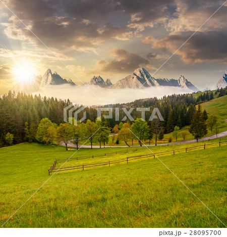 rocky peaks behind the forest and meadow at sunset rocky peaks behind the forest and meadow at sunset 28095700