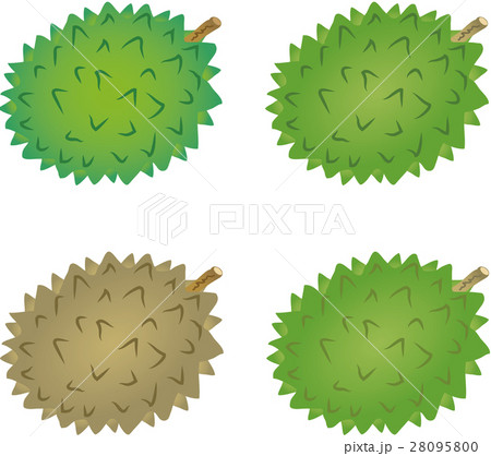 ドリアン 28095800