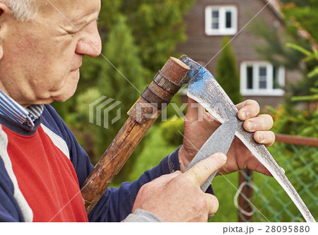 Scythe sharpening by a senior man before mowing    28095880