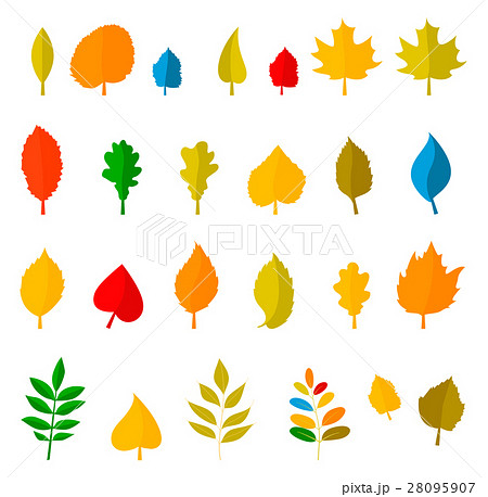 Set of colorful autumn leaves. 28095907
