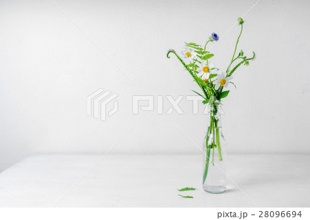 wild flowers in glass bottle on white background. 28096694
