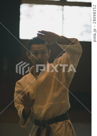 martial artist 28098352