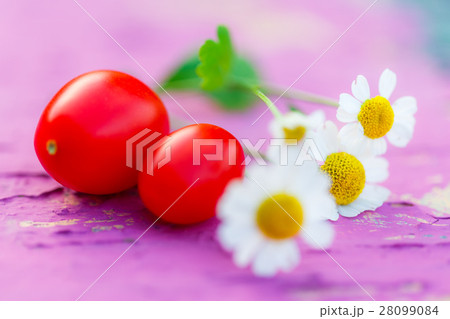 Camomile flowers and tomatoes 28099084