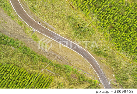 Cotopaxi Ecuador Reforestation Progress Cotopaxi Ecuador Reforestation Progress 28099458