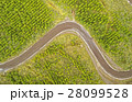 Aerial View Curved Road Cotopaxi Ecuador 28099528