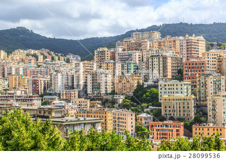 Genoa old city view from the mountain 28099536
