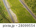 Cotopaxi National Park Road Aerial 28099554