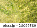 Altitude Vegetation Cotopaxi Park Aerial 28099589