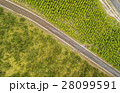 Reforestation Comparison Aerial Cotopaxi Ecuador 28099591