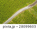 Union Between Paved And Unpaved Road Drone Aerial 28099603