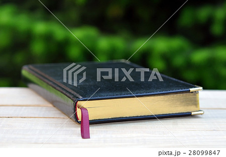 Book on Wooden Table on Nature Background Book on Wooden Table on Nature Background 28099847