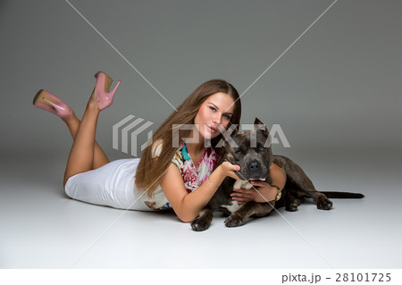Beautiful girl with grey stafford terrier Beautiful girl with grey stafford terrier 28101725